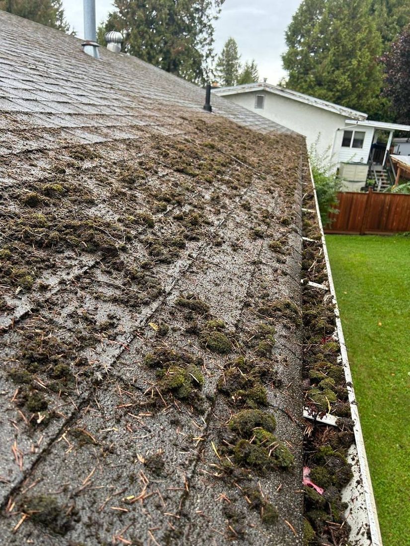 Gutter and roof edge before cleaning, packed with moss and debris