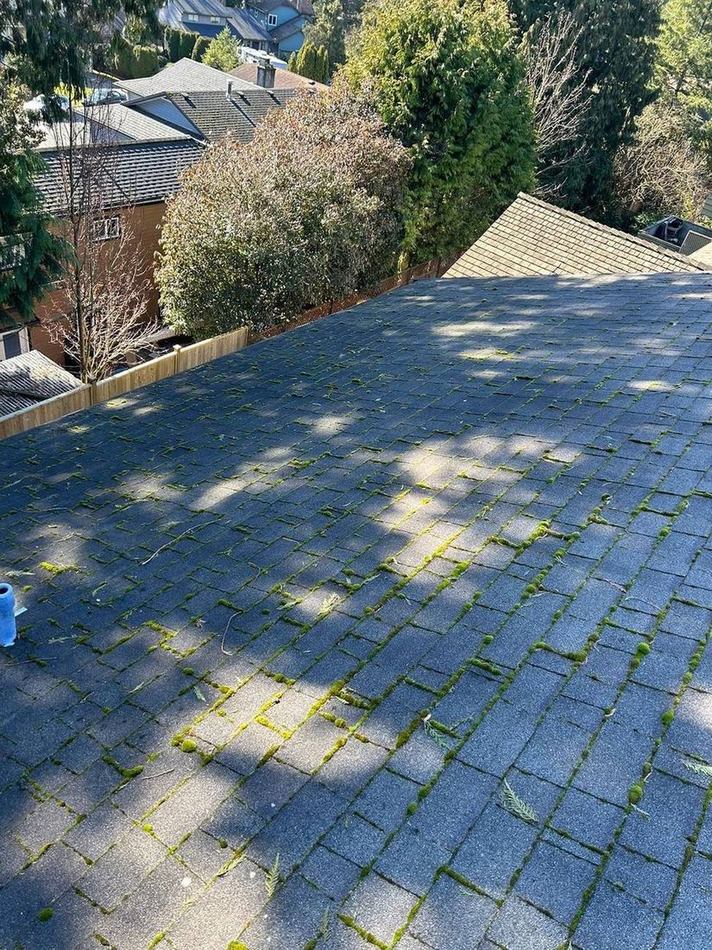 Roof before soft washing, covered in moss