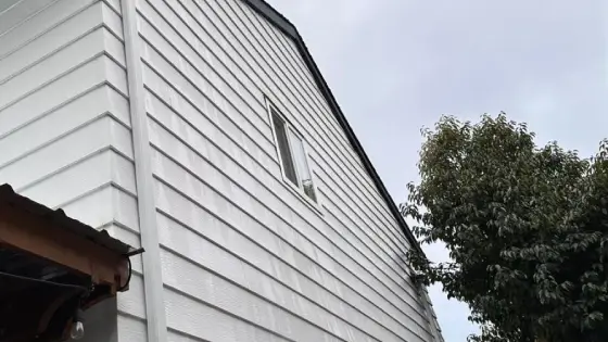 Clean siding after house washing
