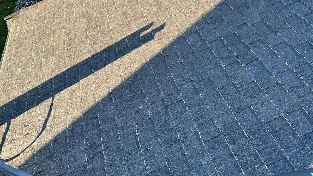 Roof-Soft-Washing-in-Surrey-BC-1