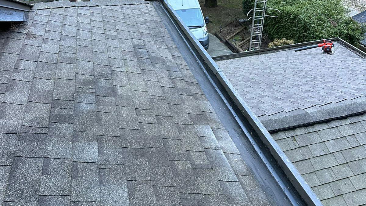 Roof-Soft-Washing-in-Surrey-BC-3