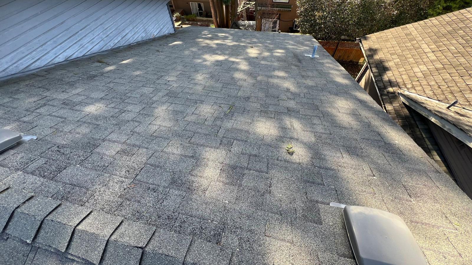 Roof-Soft-Washing-in-Surrey-BC