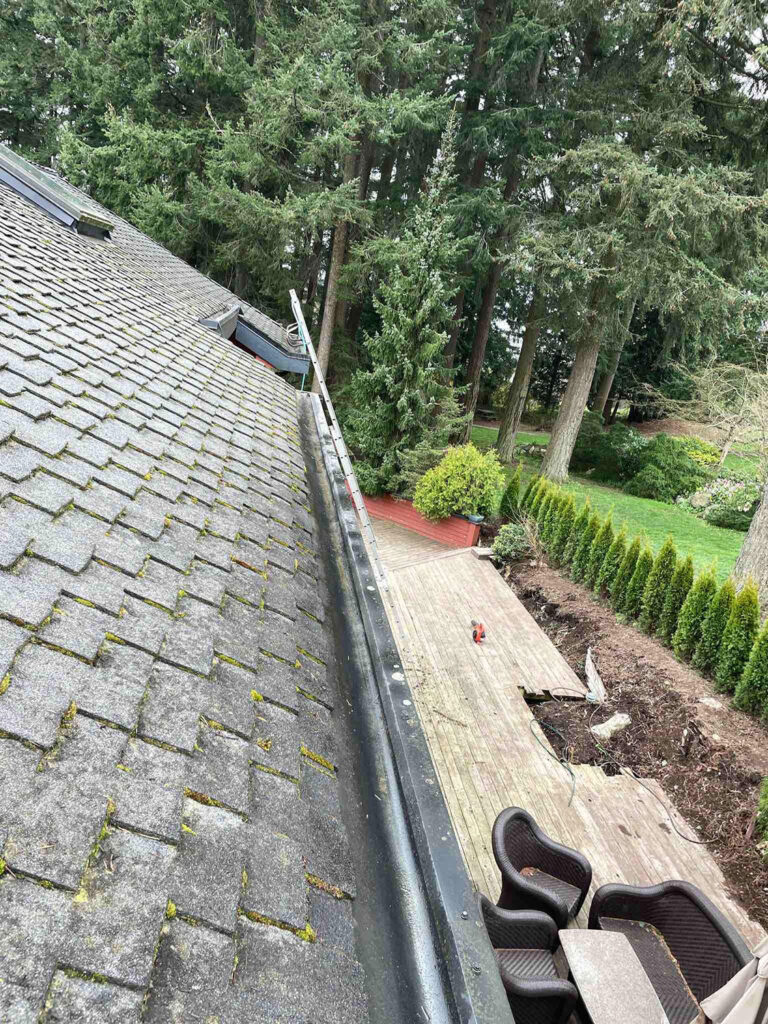 Gutter-Cleaning-7