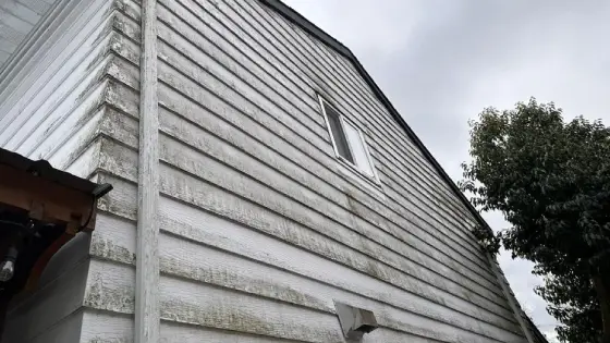 delta house washing service before