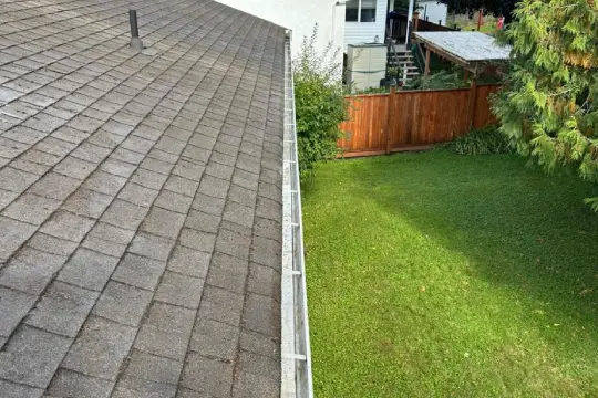 gutter cleaning