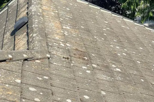 roof soft washing-2 before