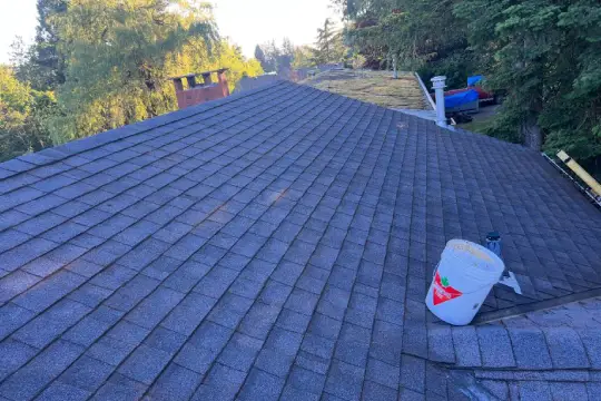 roof soft washing-3 after