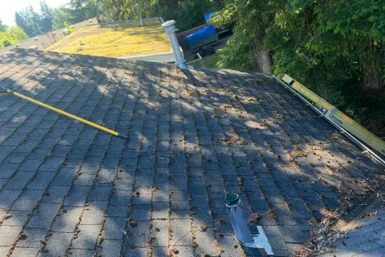 roof soft washing-3 before