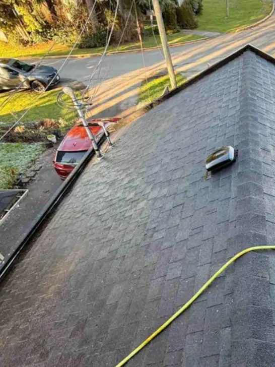 roof soft washing after